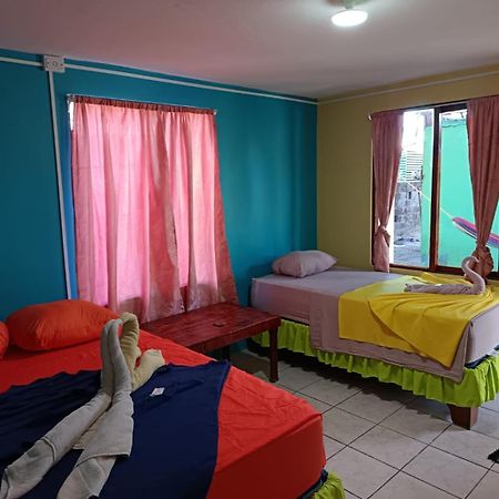 טורטוגוארו Cabinas Miss Miriam 2 מראה חיצוני תמונה